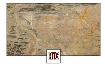 Saran Coin Marble.jpg